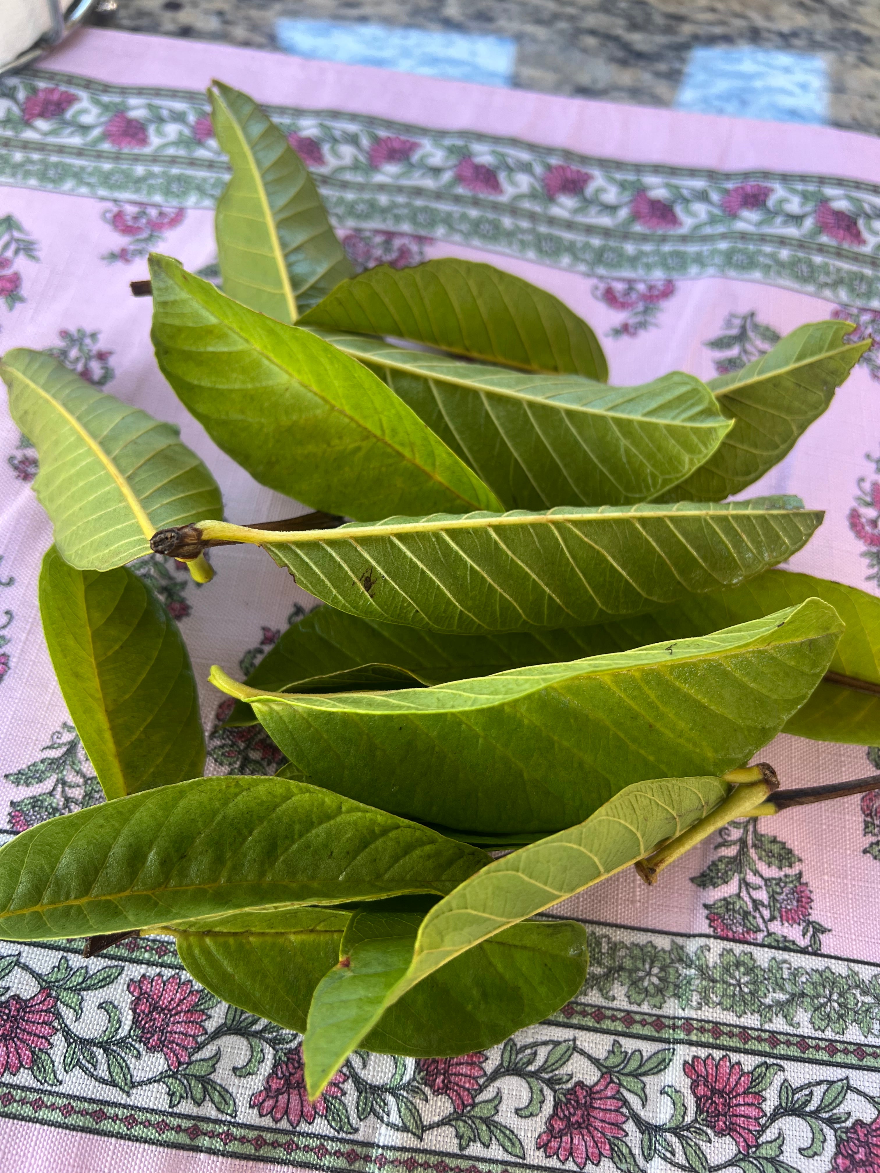 Blissful Guava Glow Tea — Herbal Tea for Digestion, Skin Health & Balance